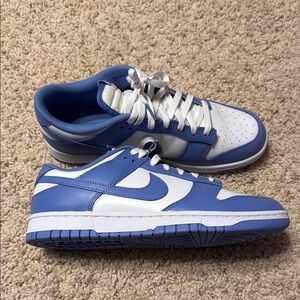 Polar Nike dunks